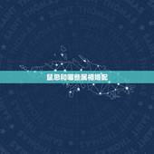 鼠忌和哪些属相婚配，属鼠的属相婚配表 属鼠的和什么属相最配？