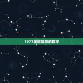 1977属蛇禁忌的数字，数字五行属性