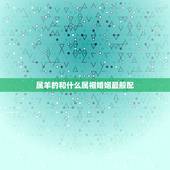 属羊的和什么属相婚姻最般配，属羊的和什么属相相配最好