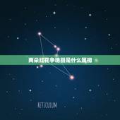 两朵红花争艳丽是什么属相，两朵红花争艳丽什么意思