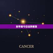 射手座今日运势紫薇，射手座今日运势