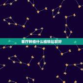 客厅种植什么植物比较好，想在家里客厅放个大型盆栽，选什么植物比较好