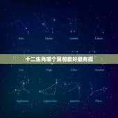 十二生肖哪个属相最好最有福，十二生肖哪个属相好