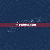 十二生肖里的属相大全，十二生肖的所有简介？