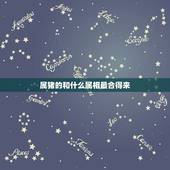 属猪的和什么属相最合得来，属猪的和什么属相最配
