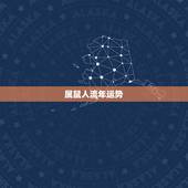 属鼠人流年运势，属鼠的 2010年运程《农历84年11月16日》