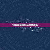 95年属猪跟00年属龙相配，2000年5月龙95年7月猪