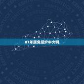 87年属兔是炉中火吗，炉中火属兔87年晚上1点半夜，命里缺什么