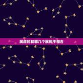 属虎的和哪几个属相不相合，属虎与什么属相不和
