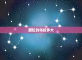 属蛇的年龄多大，四几年属蛇的多大了