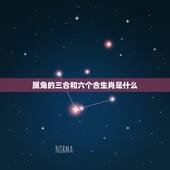 属兔的三合和六个合生肖是什么，属兔的三合六合生肖