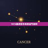 1974属虎在牛年的运气如何，牛年属虎运势