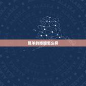 属羊的婚姻怎么样，1991年属羊男有几次婚姻