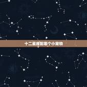 十二星座配哪个小宠物 十二星座适合养的宠物