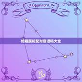 婚姻属相配对靠谱吗大全，属相配对可信吗？