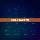 生肖兔与什么属相不和，属兔的和什么属相最配