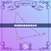 狗和猪的婚配属相合吗，属狗和属猪的相配吗？能生活在一起吗？