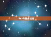 1963年属兔运程，1963年出生今年财运如何