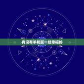 有没有羊和鼠一起幸福的，羊鼠怎么样才不克