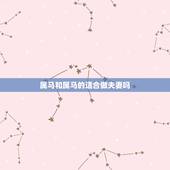 属马和属马的适合做夫妻吗，属马和属马夫妻2022 运势
