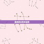属狗的8月份运势，属狗的人2023全年运势及运程和每月运程