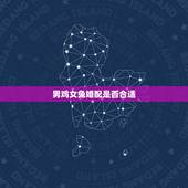男鸡女兔婚配是否合适，兔和鸡配婚姻好不好