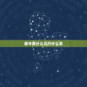 属牛属什么五行什么命，1993年属鸡是什么命