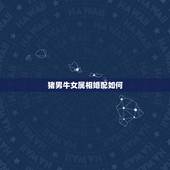 猪男牛女属相婚配如何，女属猪和男属牛配吗？