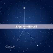 属马的1966是什么命，属马1966年是什么命2016年运势