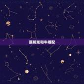 属相龙和牛婚配，龙和牛属相合不合财