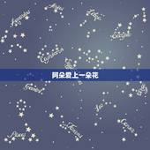 阿朵爱上一朵花，谁知道一人一花（阿朵）的歌词？
