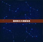 属虎的三大忌配生肖，86年属虎的36岁会死