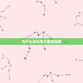 为什么说乌龟不能捡回家，路上的乌龟能捡回家吗
