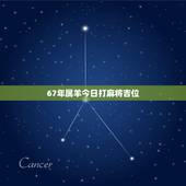 67年属羊今日打麻将吉位，属羊人今天打麻将运气怎么样