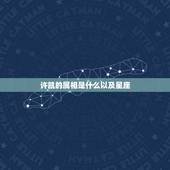 许凯的属相是什么以及星座，星座和属相怎么对应