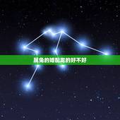 属兔的婚配龙的好不好，属兔的和属龙的婚姻怎么样？