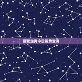 属蛇生肖今日运势查询，十二生肖今日运势查询易安居