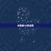 水瓶座10月运势，水瓶座2014年10月运势