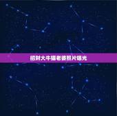 招财大牛猫老婆照片曝光，招财大牛猫老婆为什么叫后妈？