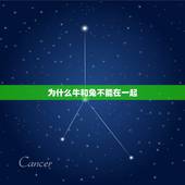 为什么牛和兔不能在一起，兔子跟牛在一起的图片