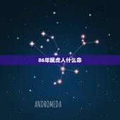86年属虎人什么命，1980年属猴石榴木命