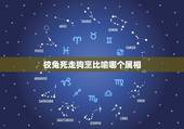 狡兔死走狗烹比喻哪个属相，狡兔死走狗烹，什么意思。