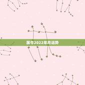 属牛2022年月运势，2022属牛女人全年运势