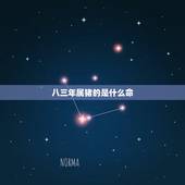 八三年属猪的是什么命，八三年三月初八早上属猪的什么命