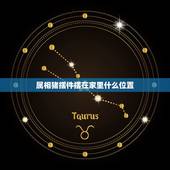 属相猪摆件摆在家里什么位置，招财猪的摆放风水 家中如何摆放招财猪最好