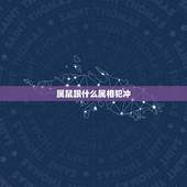 属鼠跟什么属相犯冲，属鼠生什么属相宝宝好