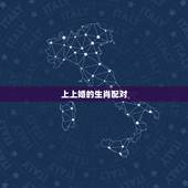 上上婚的生肖配对，十二生肖中什么生肖结婚最般配呢？