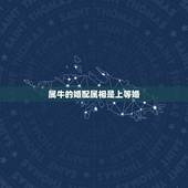 属牛的婚配属相是上等婚，属牛的属相婚配表
