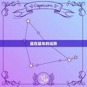 鼠在鼠年的运势，属鼠运势2015年 属鼠人今年运程