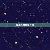 属羊人命里带二婚，91属羊人三大劫2022 年